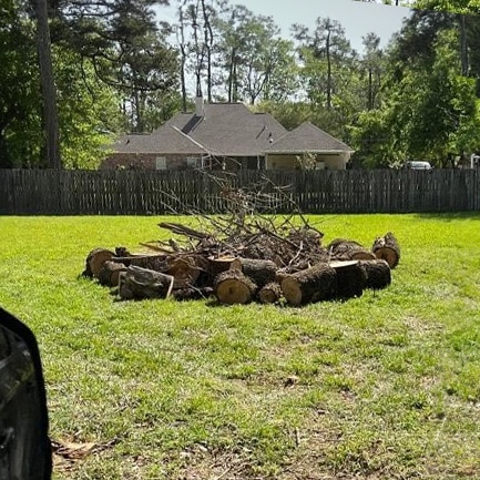 Cleanup Services for Any Size