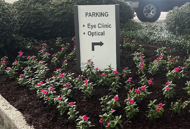 Landscaping with seasonal flowers