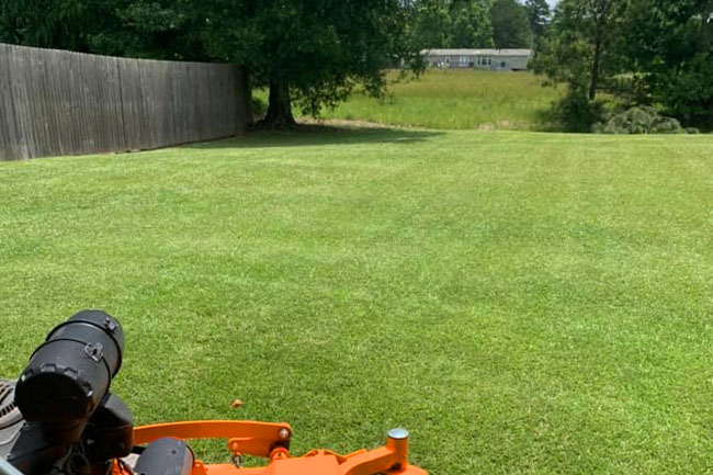 Dedicated landscaping professionals