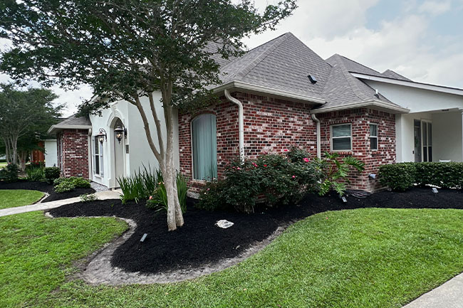 Residential yard with manicured turf