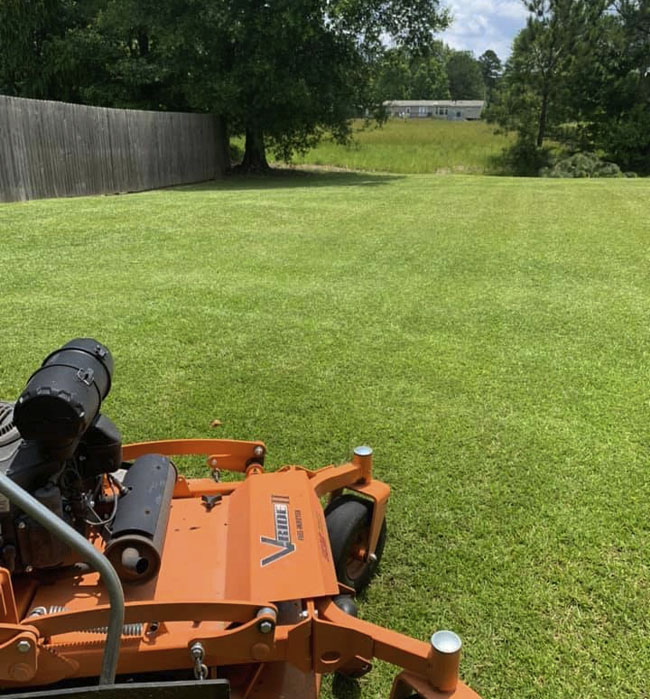 Lawn-Mowing-Services