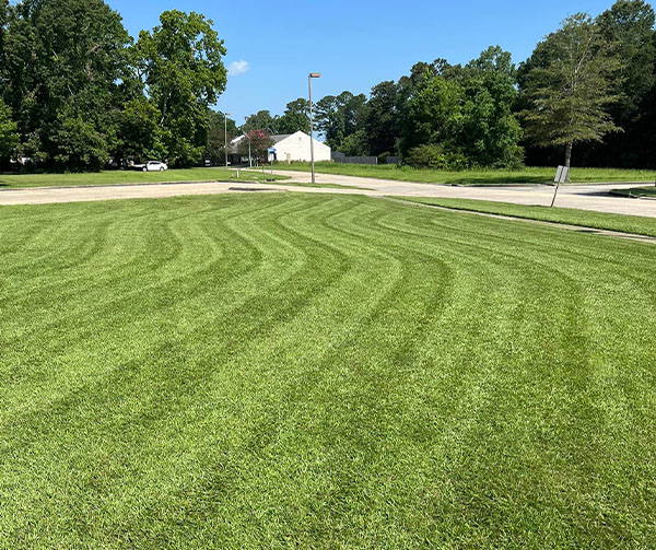 Lawn Mowing & Yard Maintenance