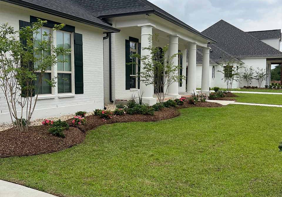 Healthy green lawn freshly mowed and edged